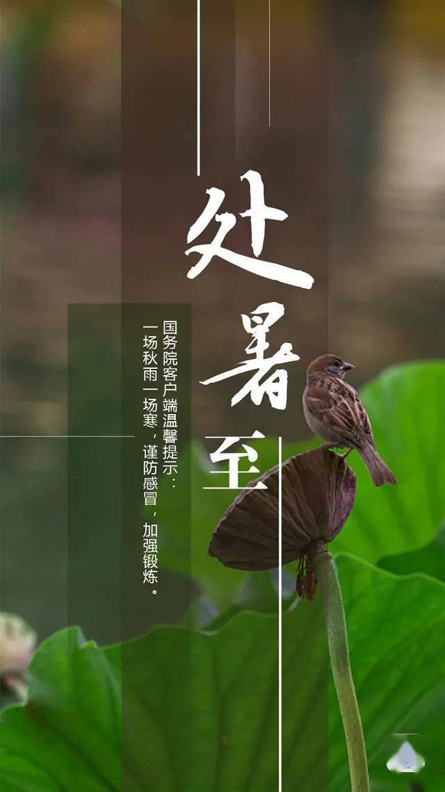 今日处暑 | 秋收始,渔船开,处暑是个有故事的节气_候禾