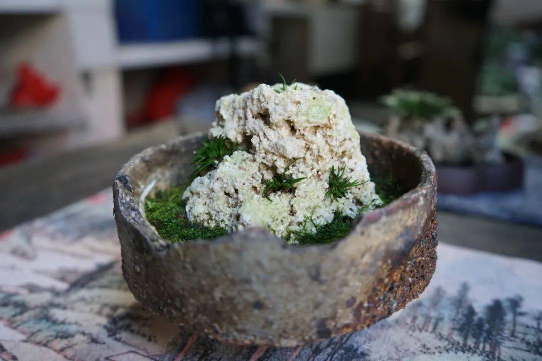 贵船苔附珊瑚石