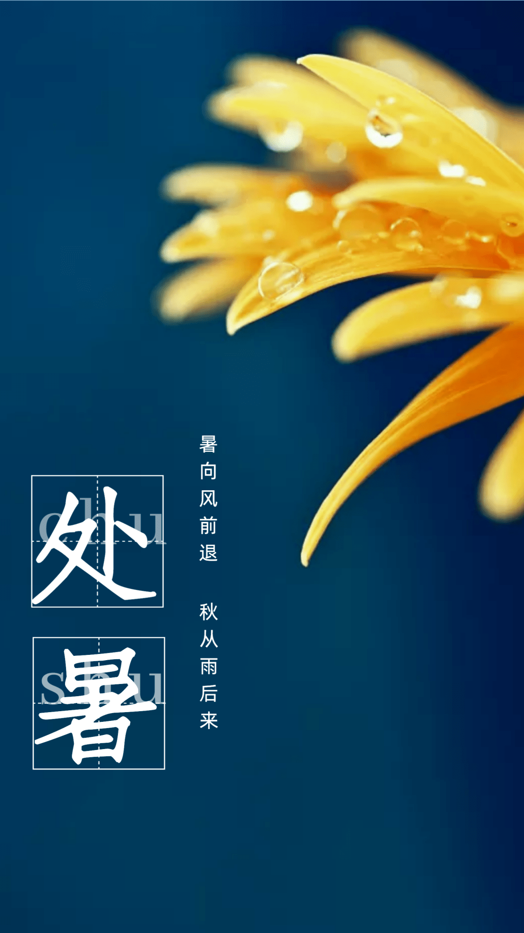 二十四节气处暑