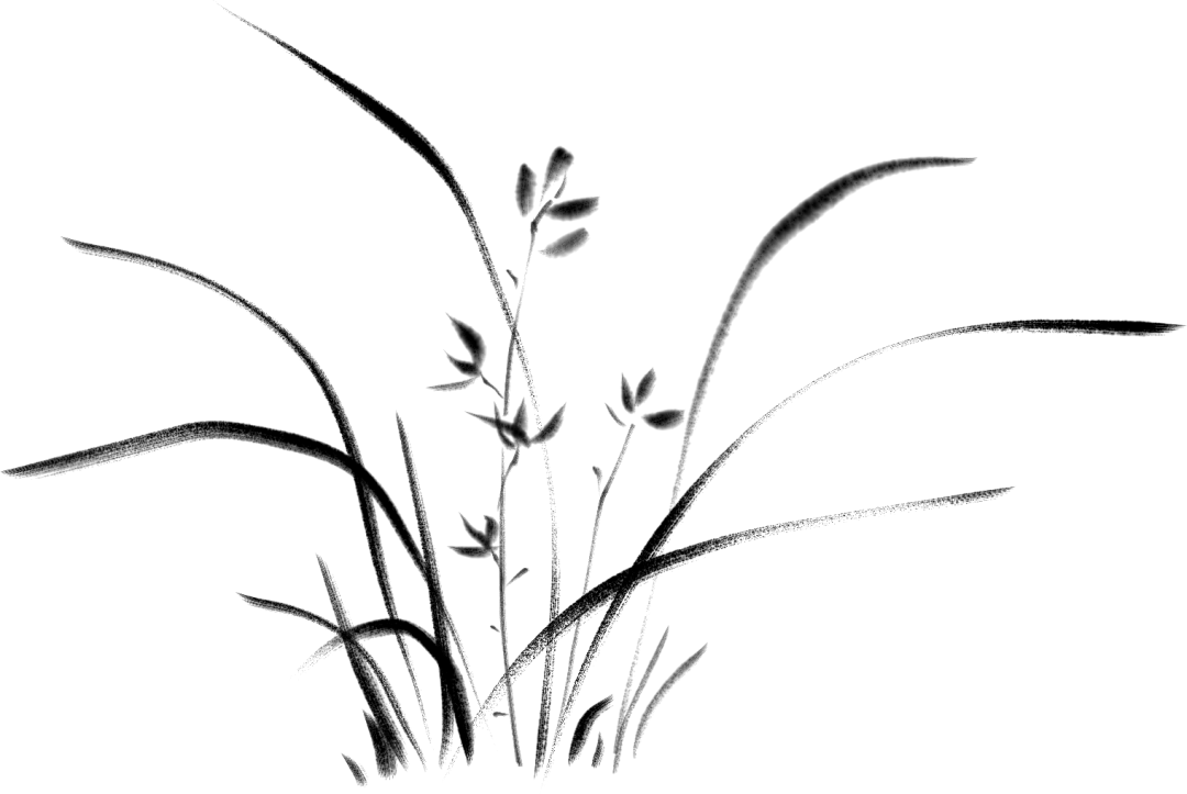 0efaa64a053a4e9ca20734103c2a50b1.png
