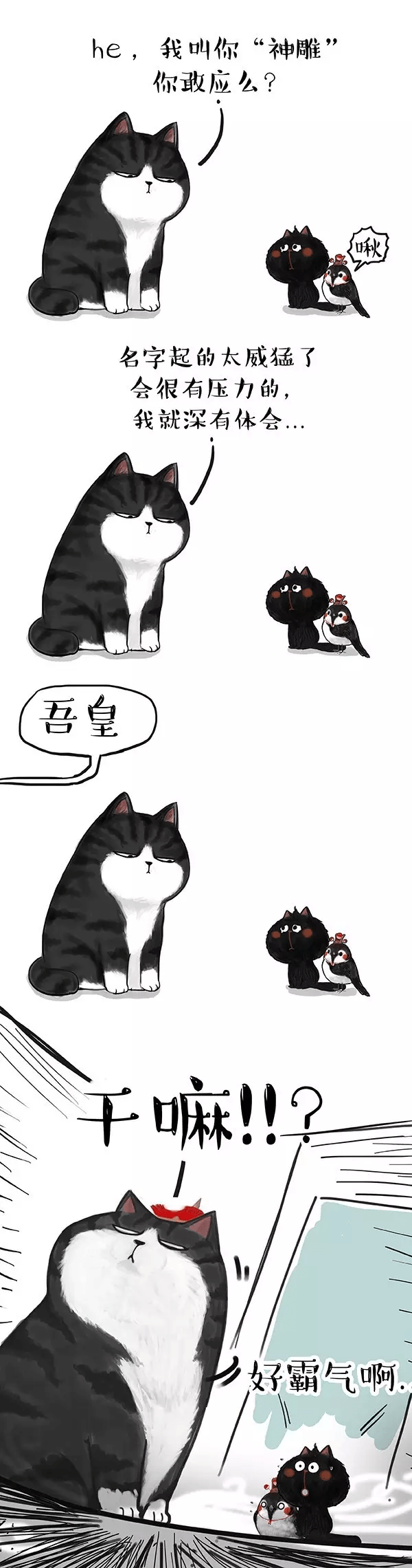 也是一种爱.吾皇和人中翅中之间.也是一种爱.吾皇和巴扎黑之间呢.也