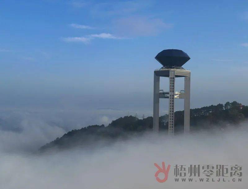 南方的朋友请回避一下,我给北方的朋友展示一下梧州