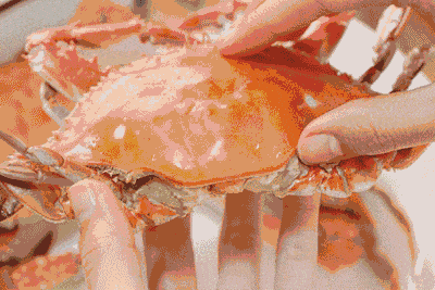 2a79fddb047f40ad90c8391738611252.gif