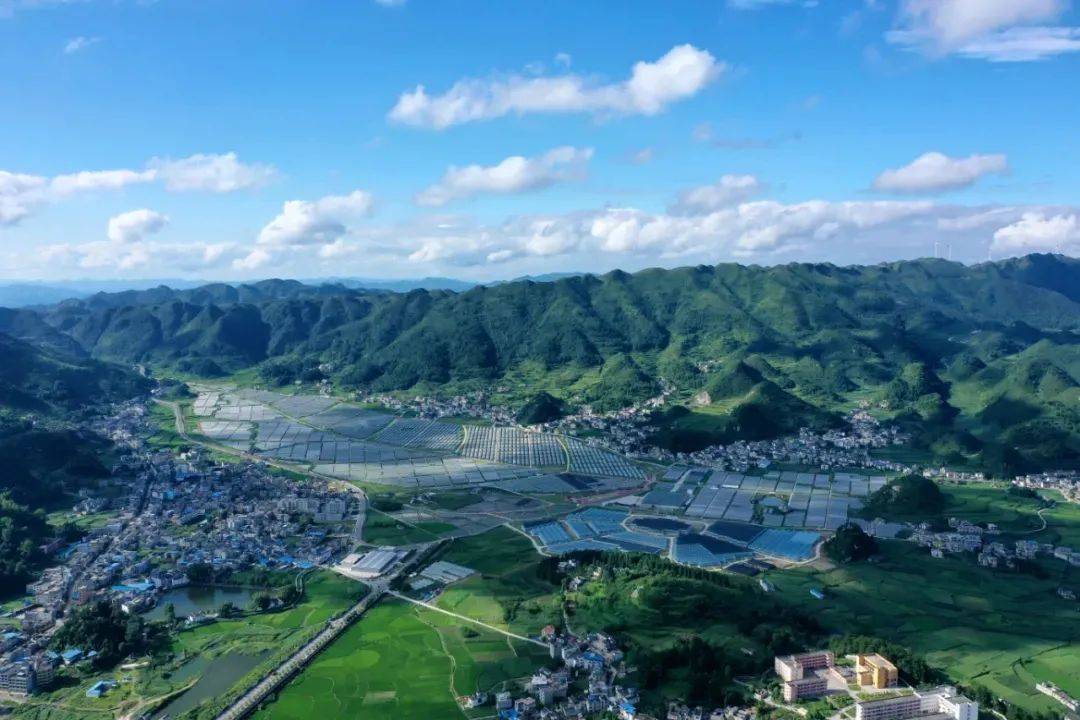 【走向乡村振兴】喜看乡村新变化_茶园镇