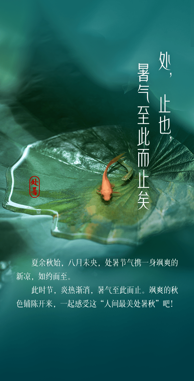 今日处暑你那里凉快了吗