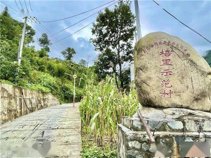 贡山县茨开镇:产业为"枝干" 文明作"叶花" 培育民族共荣之树