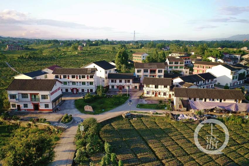 垫江县高峰镇大井村里有大"景".