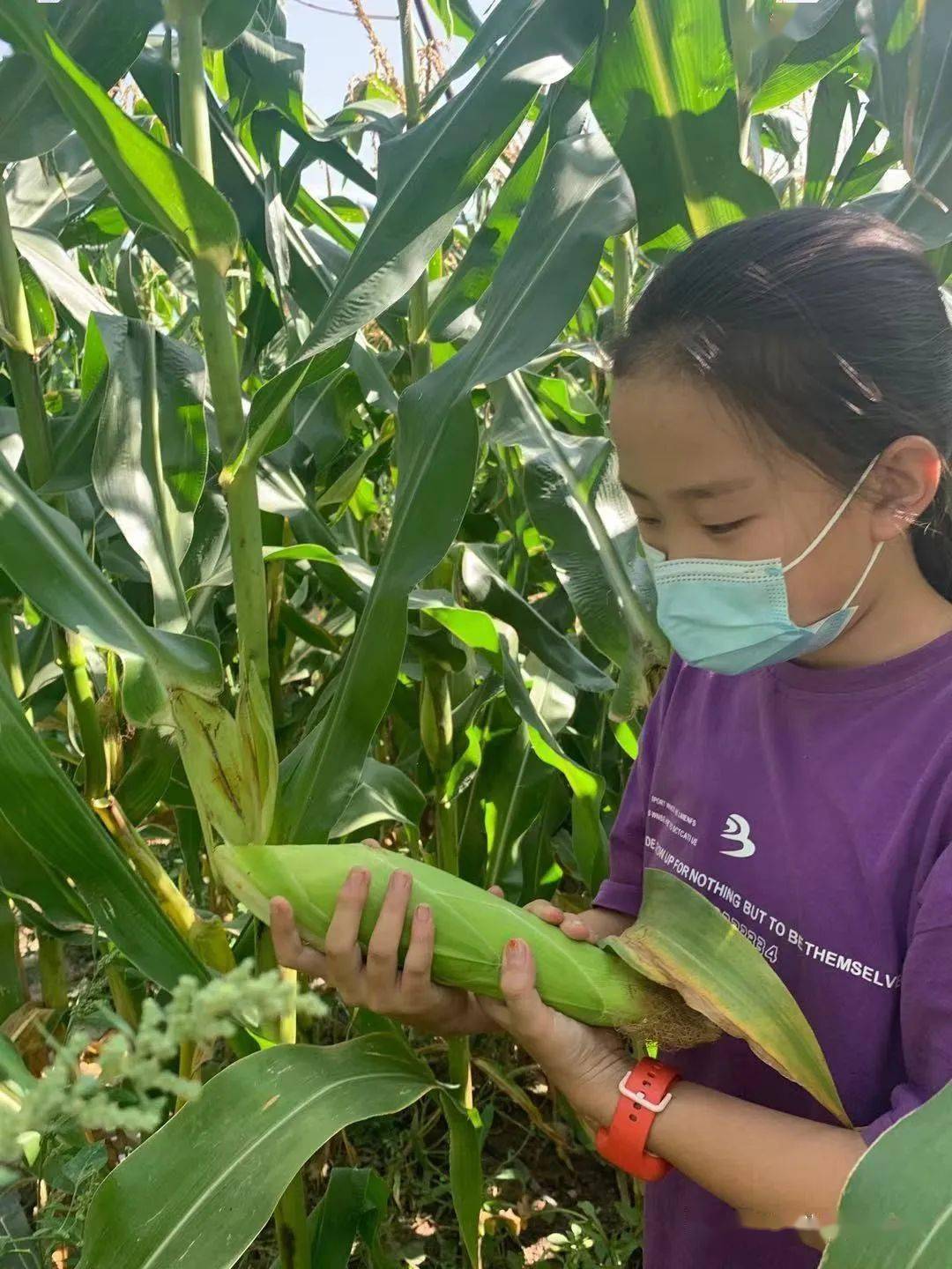 出出汗——光榮道小學暑期勞動教育實踐活動系列之