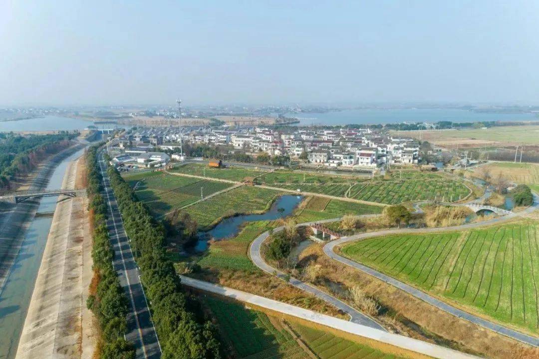 一下子启动了100多个乡村的改造,朱开生被溧阳竹箦镇聘为"总顾问"