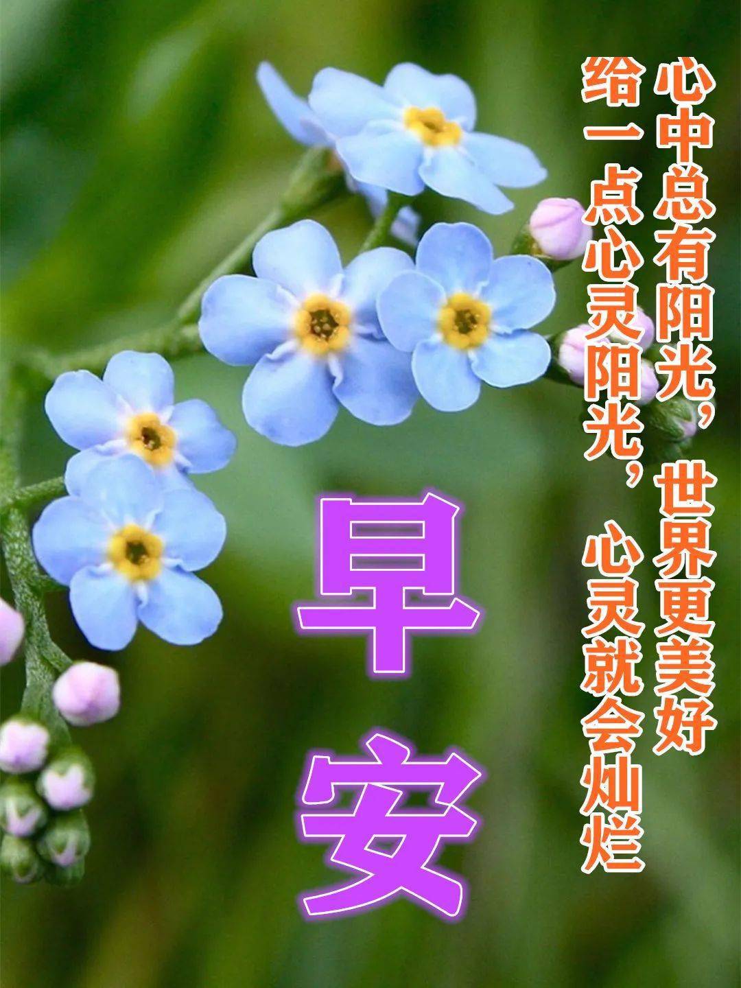 最漂亮早上好动态表情图片大全早晨好动图美图大全