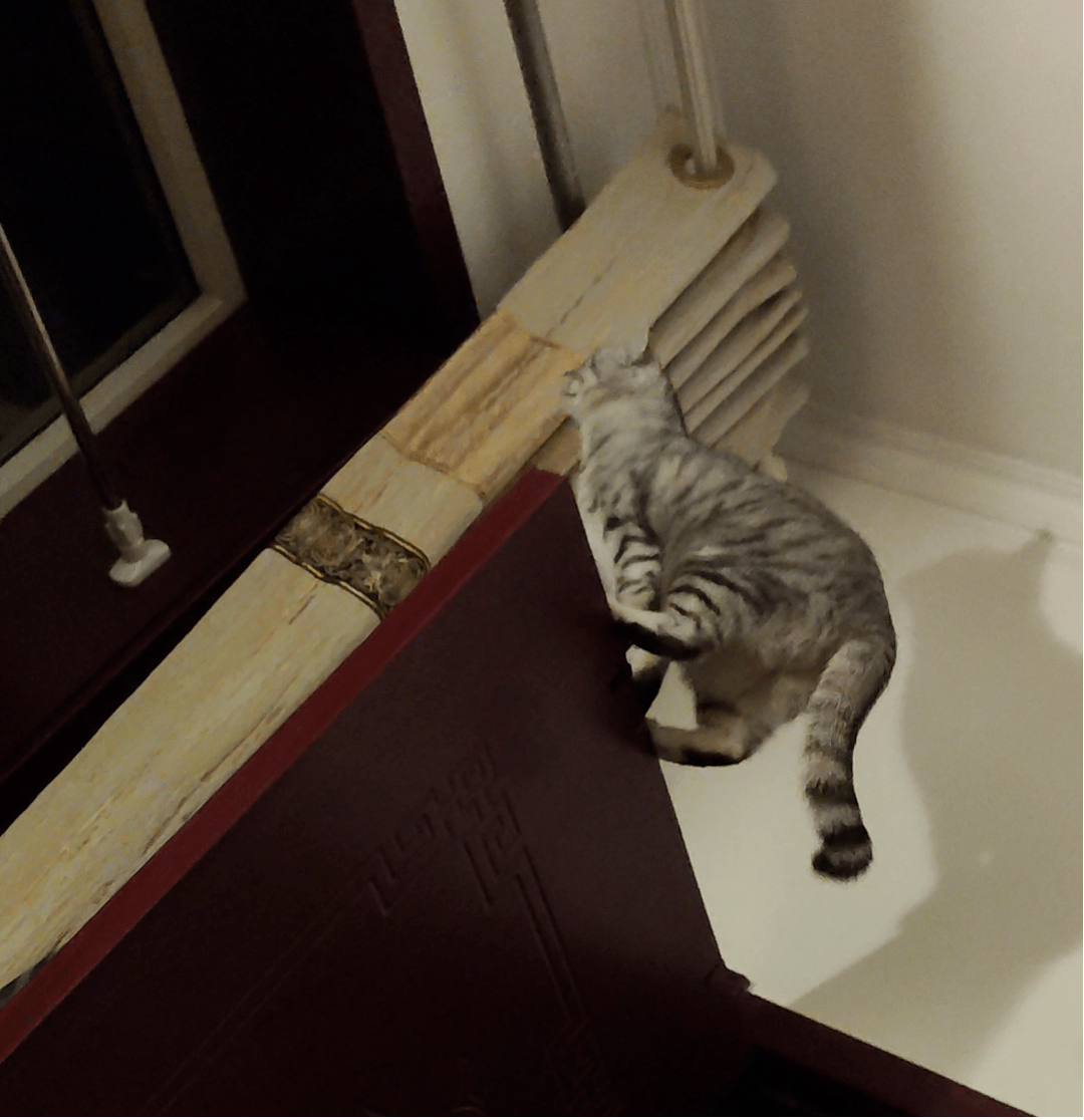 fa93fe33b96945deb8e5593efcfe79b4.png
