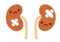 治疗|“肾”宝贝，出院了怎么护理呢？