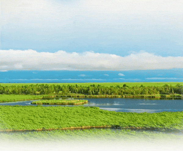 如果不想错过飞鹤每天的精彩内容,记得将"飞鹤奶粉"设为 星标或点 在