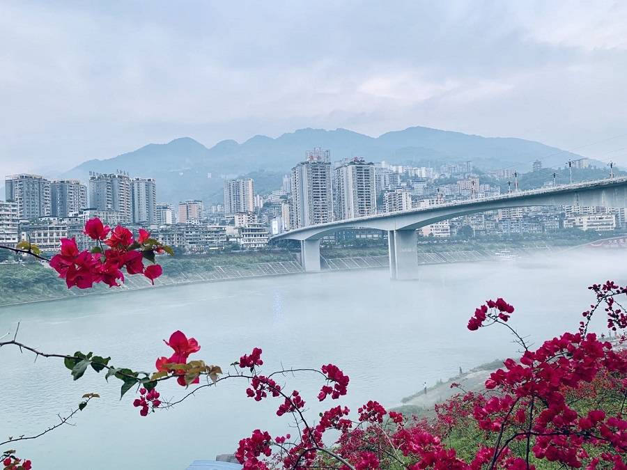 夜景|彭水：一年四季美如画 两江四岸起风景