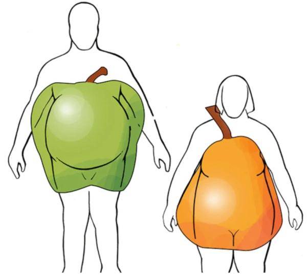 脂肪|哈？啤酒肚不是喝啤酒喝出来的？那为啥叫啤酒肚