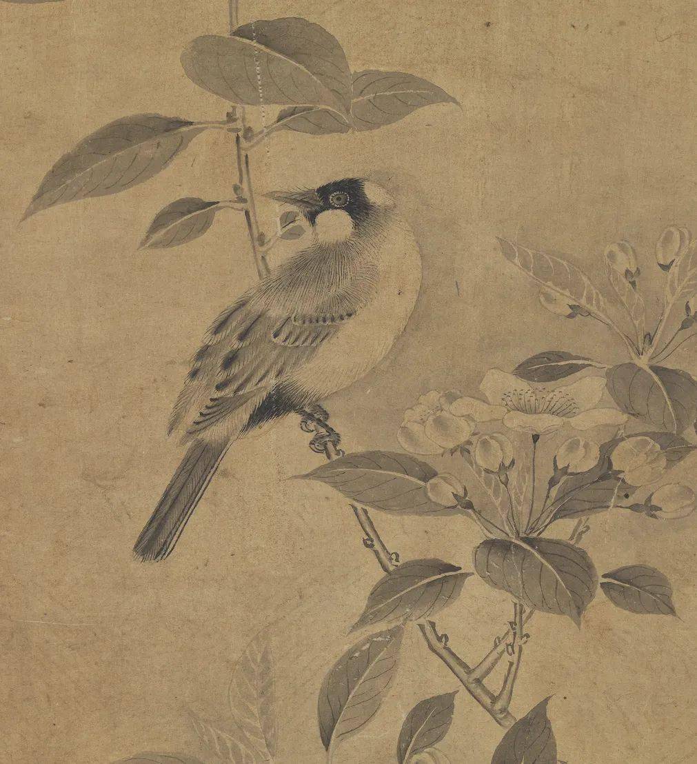 赏画赵昌画花鸟轴