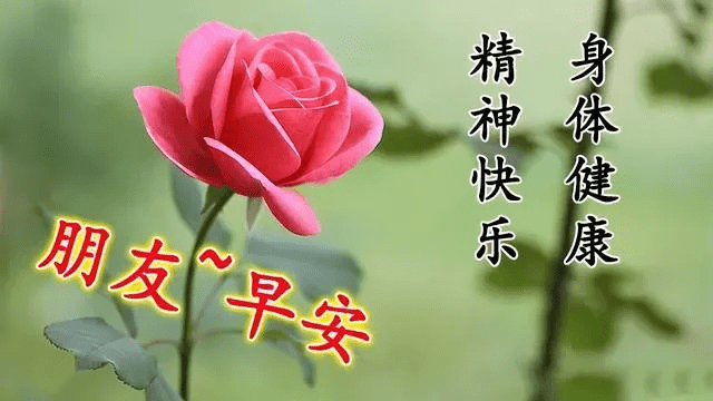 a66323fb0ab84155bb7c13340edc66ea.png