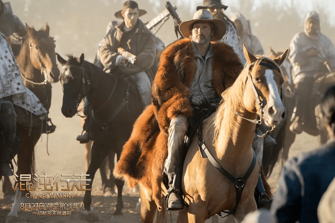 托德·赫维特|由内而外！这片把荷兰弟“扒了精光”！