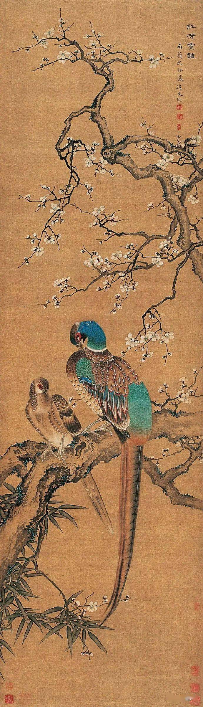 名品视界】清代画家.沈铨的花鸟画欣赏(二)_搜狐网