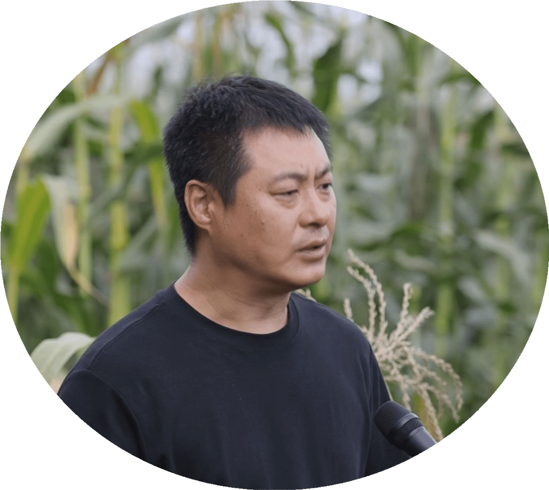 桦川县四马架镇昊民鲜食玉米种植专业合作社经理 魏晓峰今年一垧地