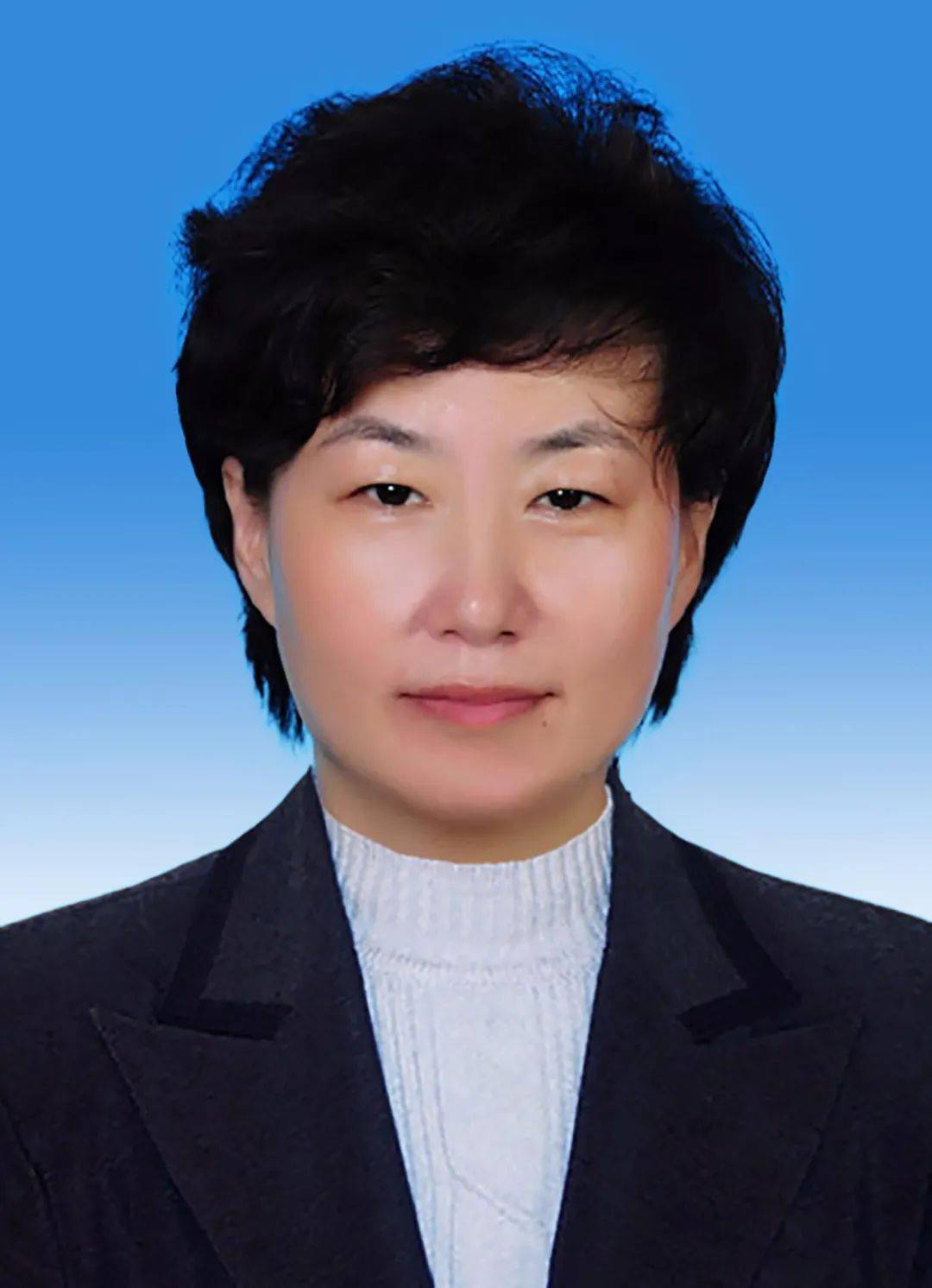 保定市人民政府市长副市长市第十六届人民代表大会常务委员会主任副