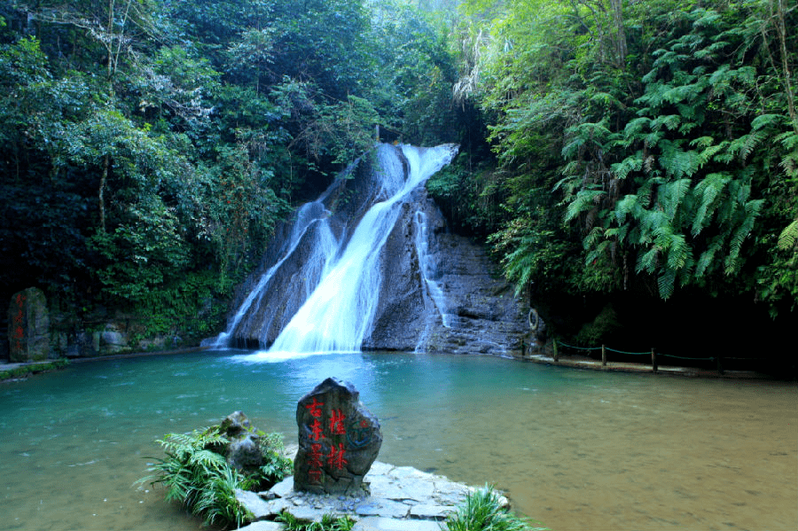 桂林占"半壁江山"!