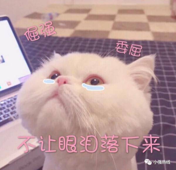 生死线|广东一男子因痔疮入ICU！醒来第一件事：让送电脑整理报表！