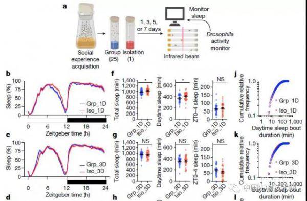 状态|诺奖得主新发现：孤独是种病，暴食又失眠