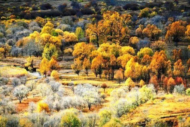 入秋后,这里的景色就美翻了!