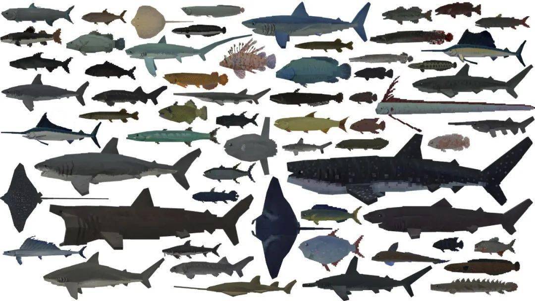 代表作品有突破百万下载量的《更多史前海洋生物:沧龙》,满足大家搭建