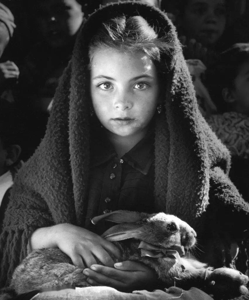 法国纪实摄影巨匠布列松罗伯特杜瓦诺黑白人文摄影集