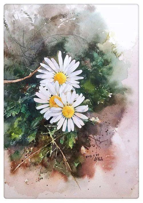爱上这份坚执,水彩小雏菊花卉系列作品
