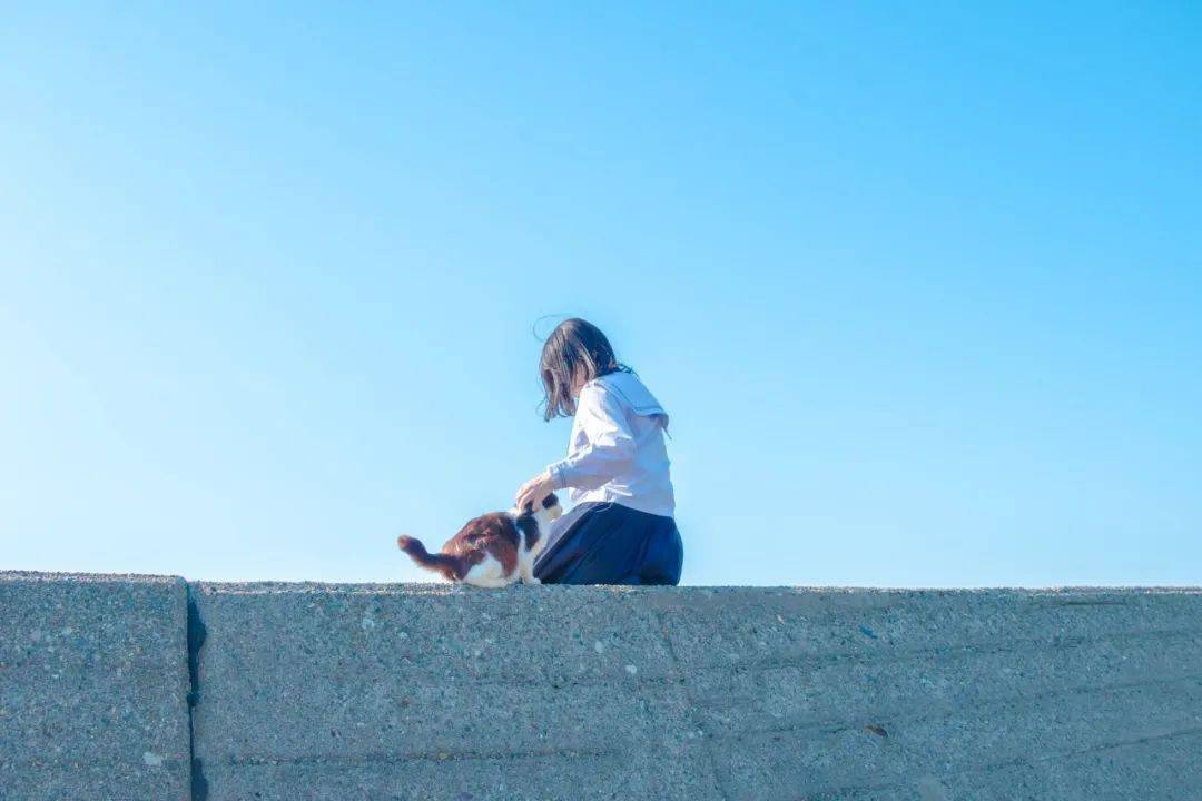 d743b2d1f97d439e8f8391df35719414.jpeg