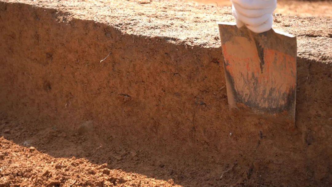 黄山市发现古墓葬群!