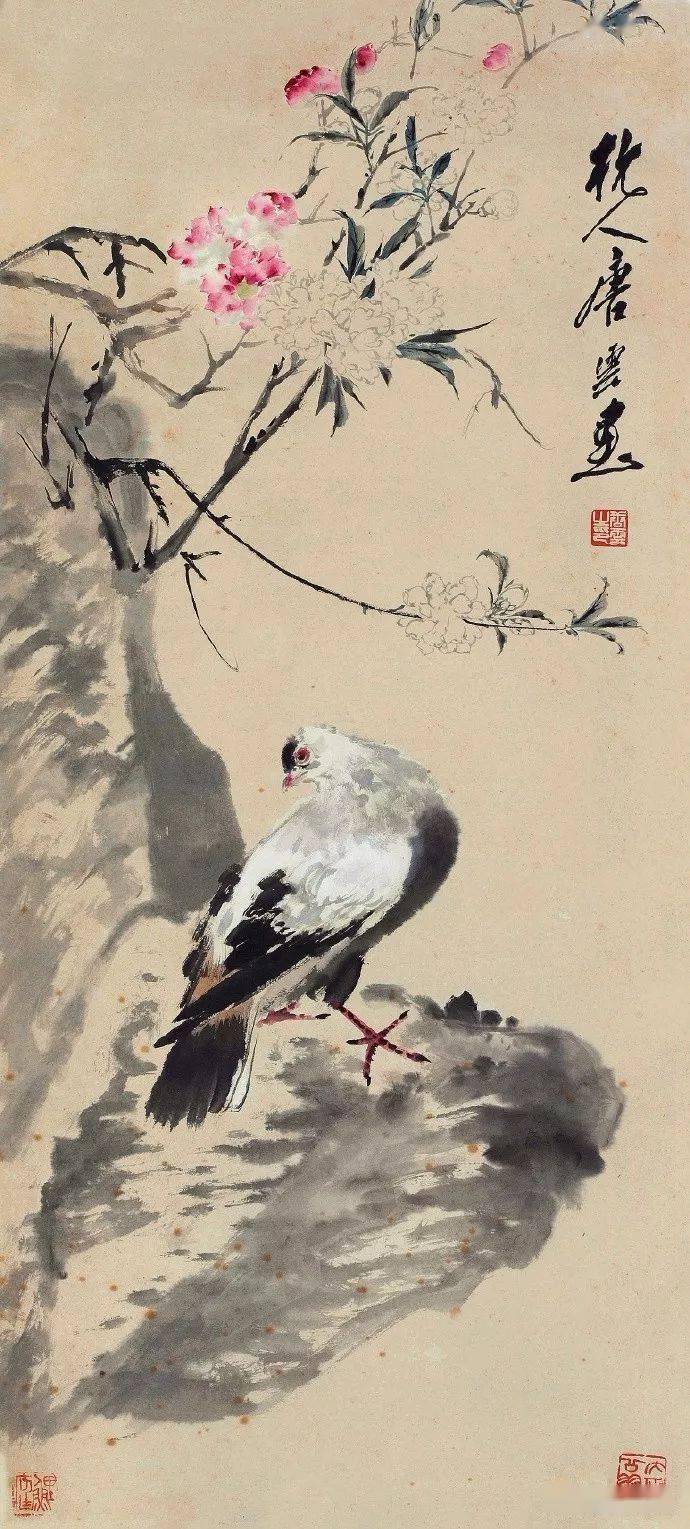 唐云 鸽子