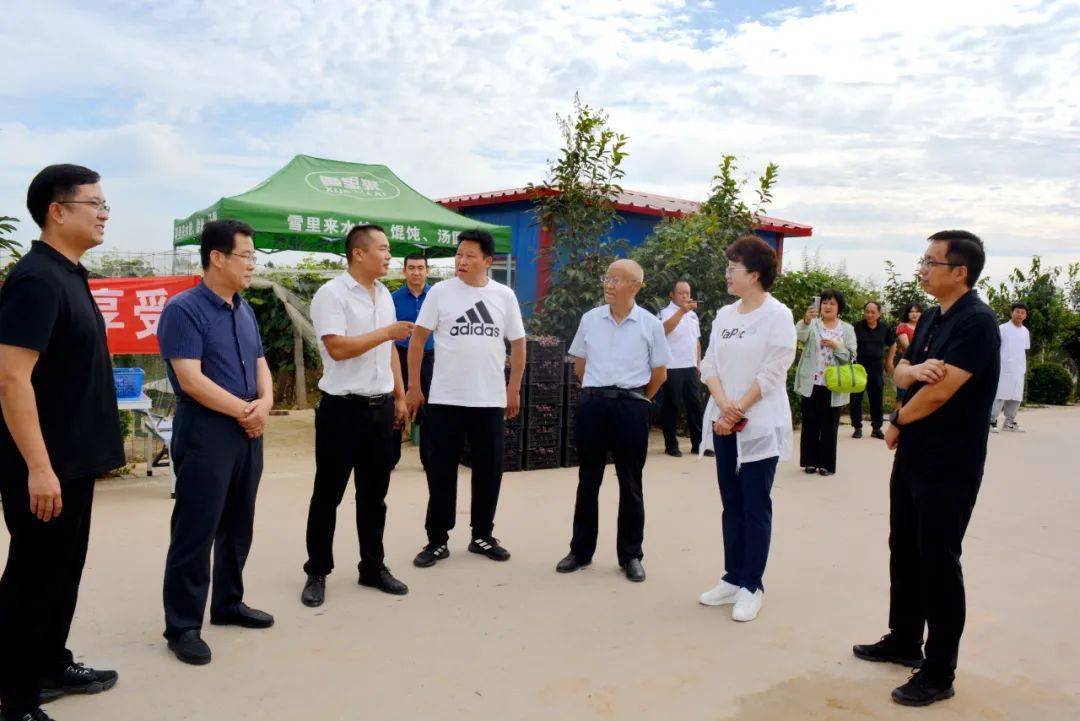 山西临汾: 尧都区县底镇河里庄村第二届葡萄采摘节开幕