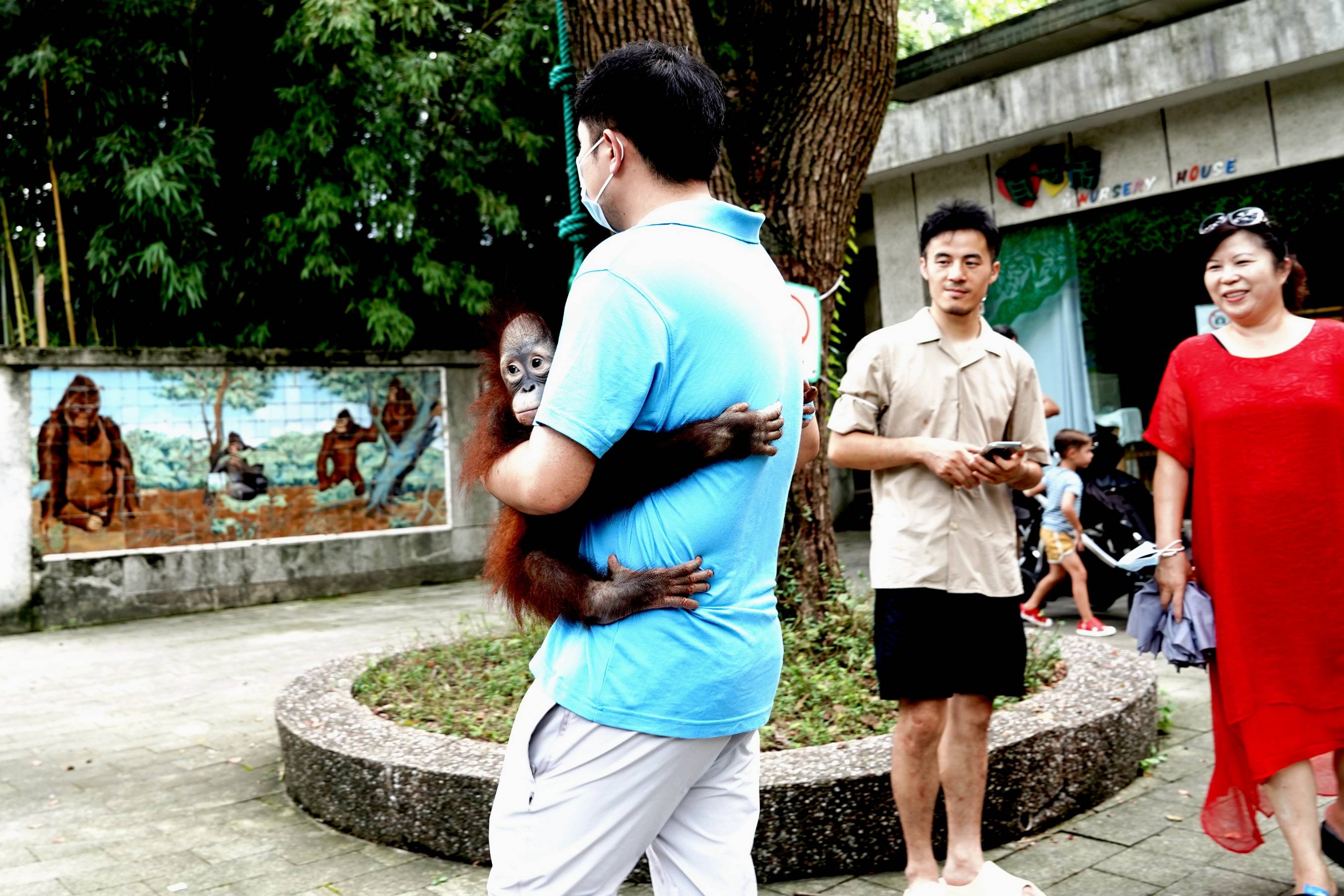 猩猩"黑妞"上学记