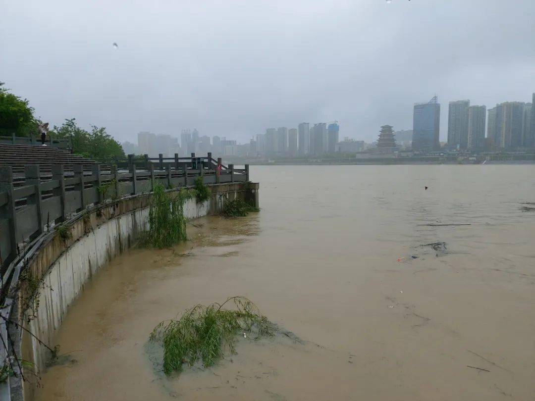88050人受灾直接经济损失22亿直击暴雨中的安康