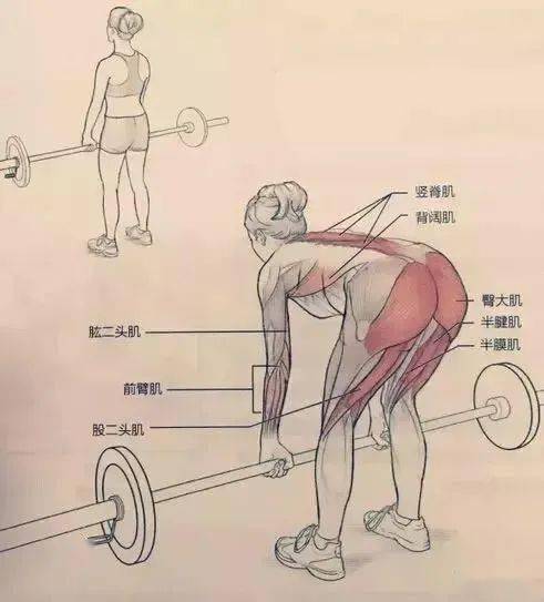 其主要练习有:1,一般跳跃练习:单足跳,跨步跳,分腿跳,蛙跳,直腿跳等;2