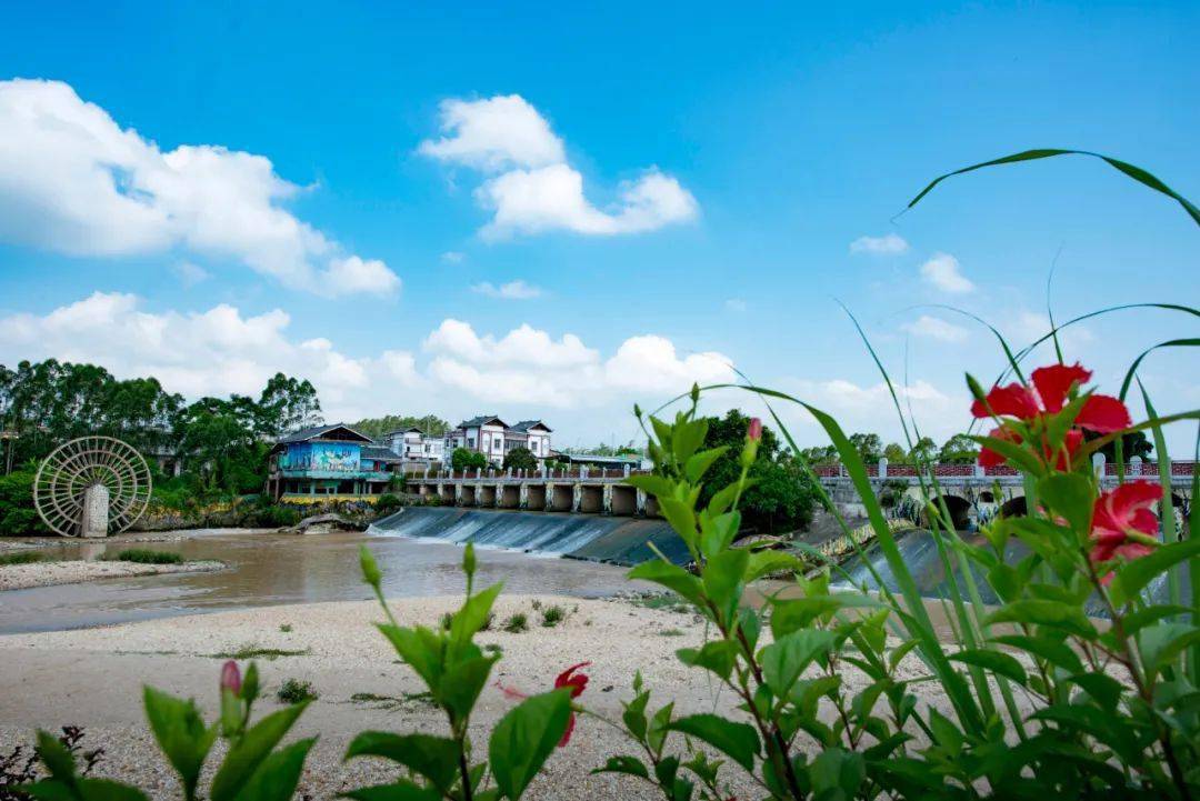 粤桂两省区投入272亿元九洲江水质逐年改善