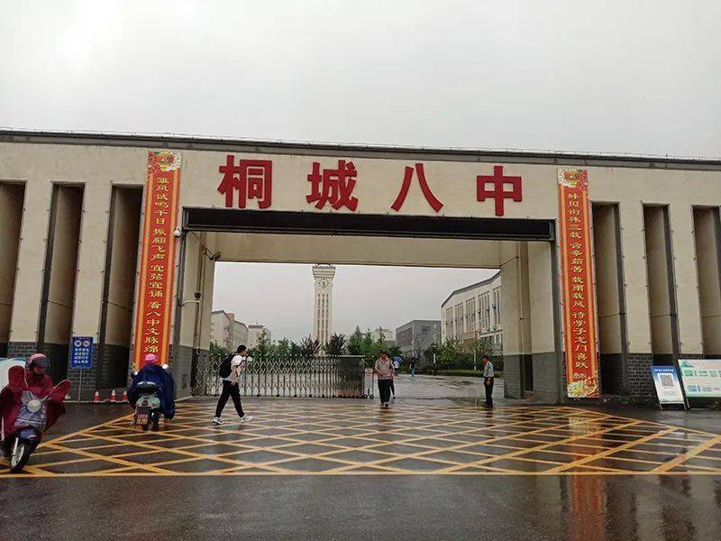 八中花絮三两枝