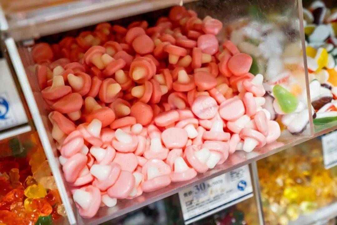 时代|陪伴老广长大的春之花，也要说再见了？