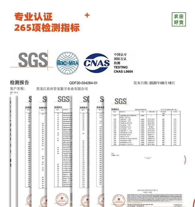 刘占文|太好吃了!不愧是获得金奖的玉米