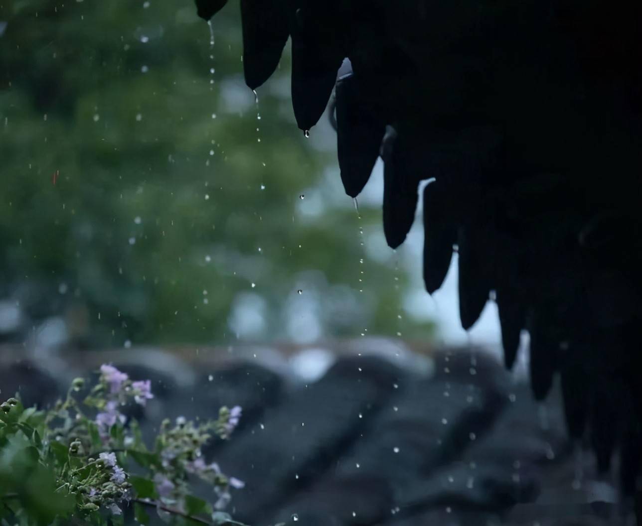 蒋捷听雨图片图片