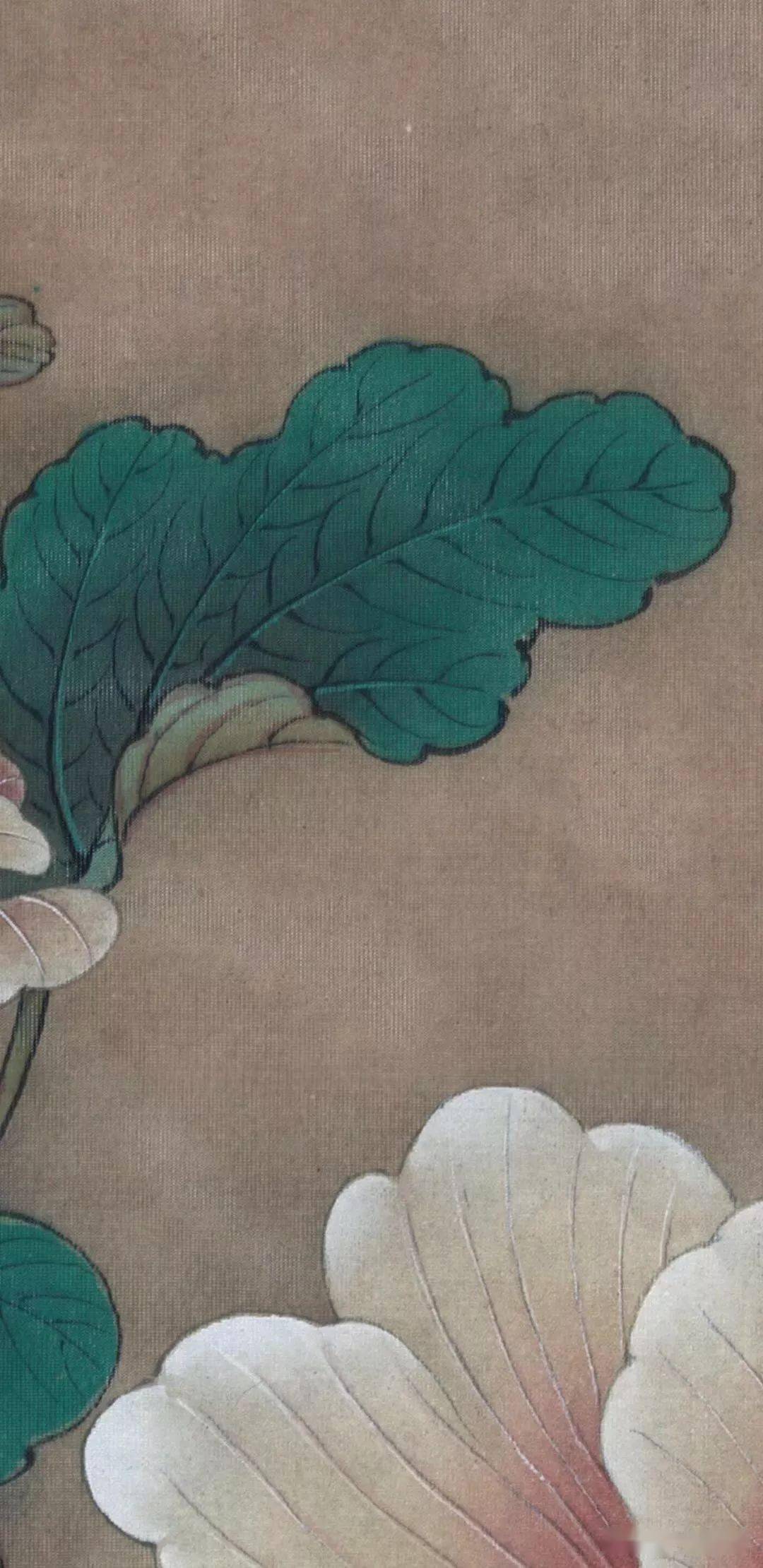 临宋蜀葵图工笔绘制解析