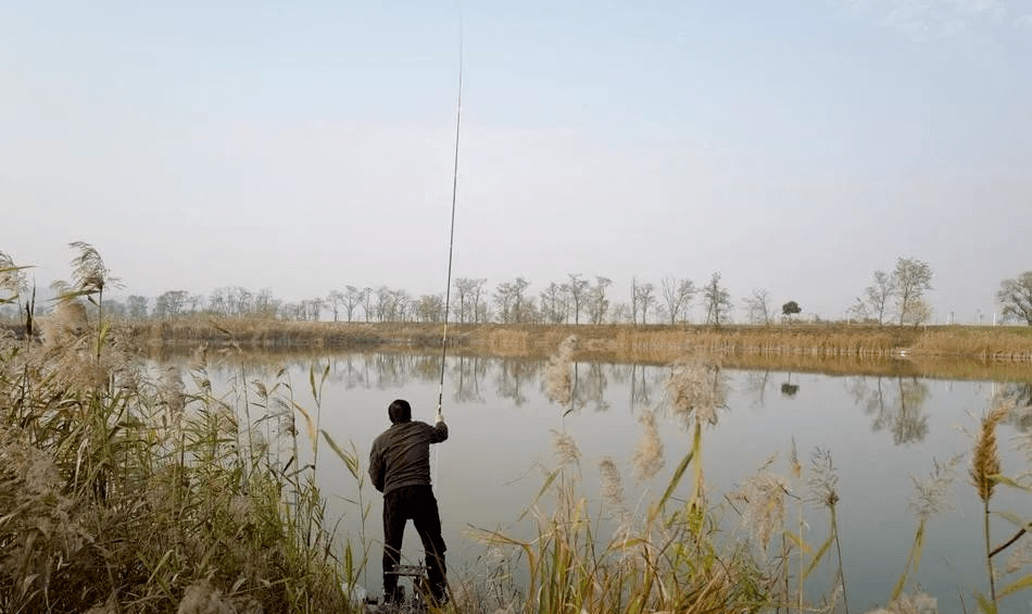 东南西北风,到底是哪一种风向,对钓鱼更有利!