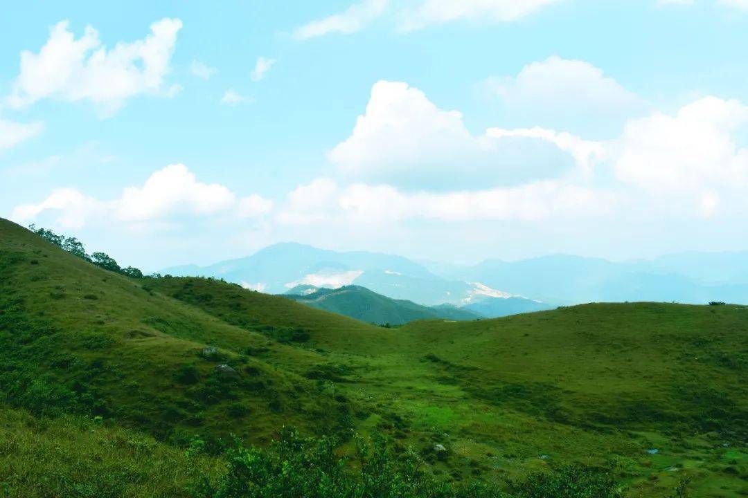 秘境江门丨恩平牛塘山徒步恩平第一高峰龙头岭牛塘山漫步空中草原