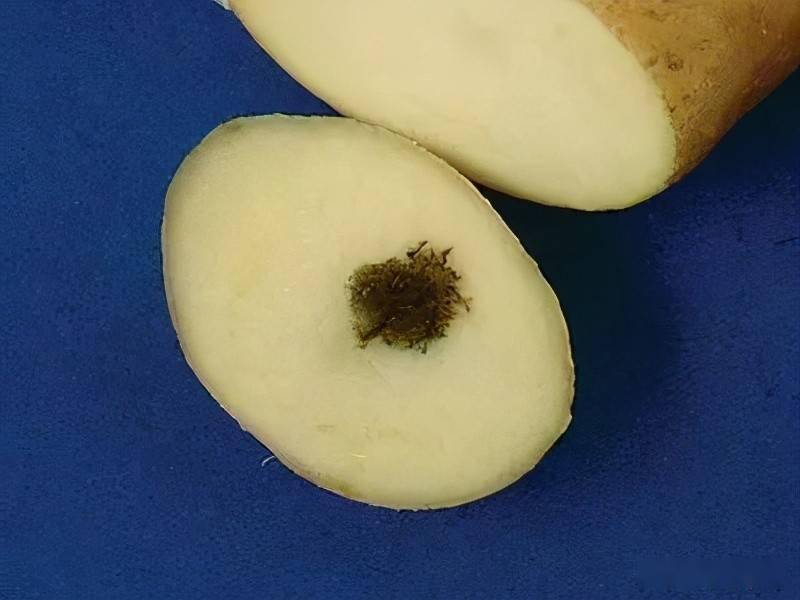 涉县查处一起销售假冒食盐行为大家买盐多注意