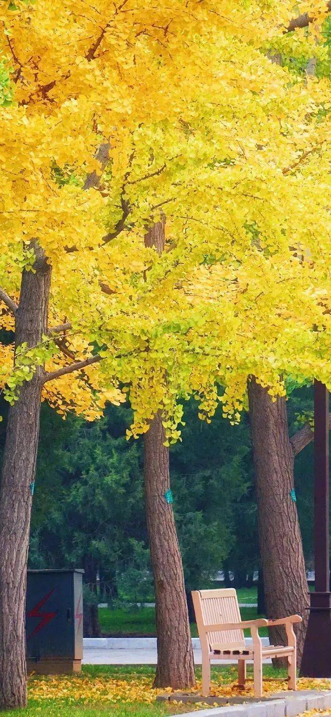 初秋最美的10个瞬间