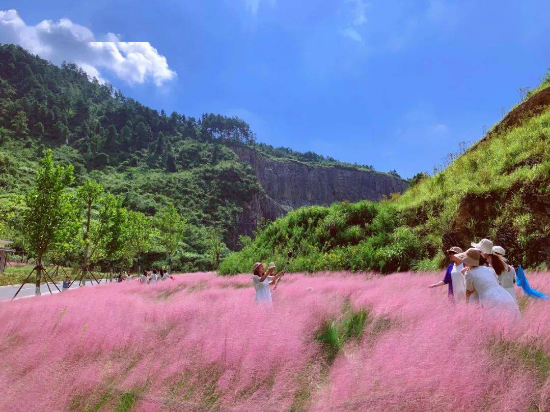 都匀花海图片